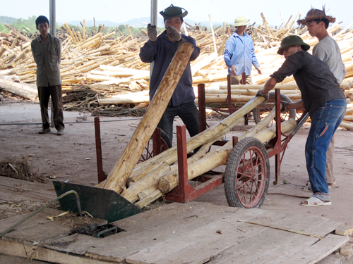 Northern district forestry products processors to increase budget contribution
